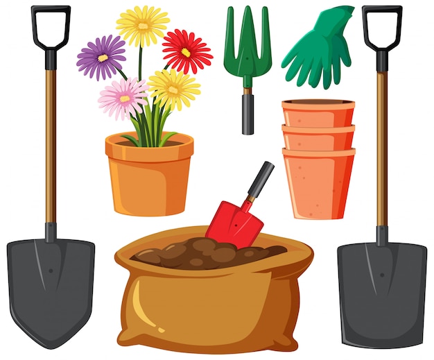 Vector gardening set with flowers and tools on white background