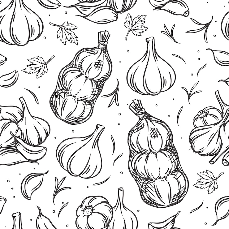 Vector garlic bulb seamless pattern outline monochrome  illustration