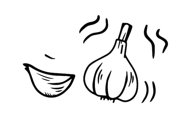 Garlic drawn with a black outline Vector graphics