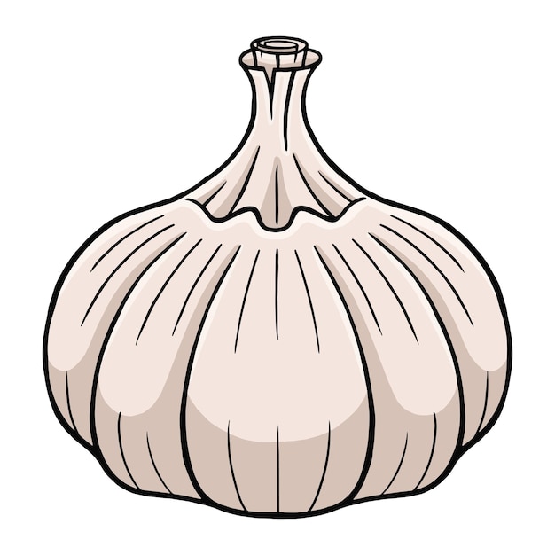 Garlic in flat design style