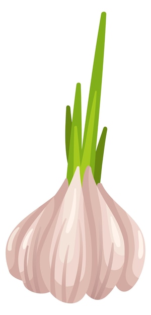 白い背景に分離されたニンニクの緑の茎新鮮な健康的な漫画野菜