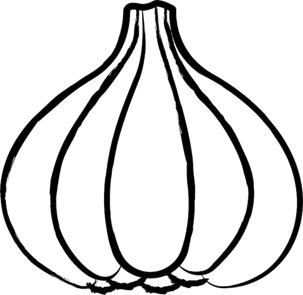 Vector garlic hand drawn vector illustration