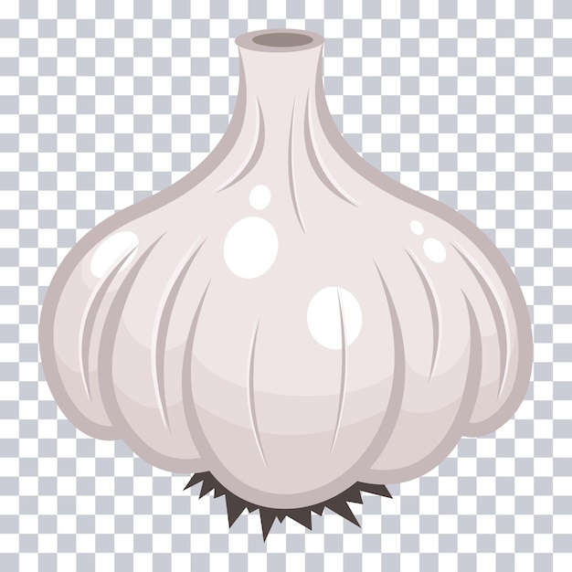 Vector garlic onion