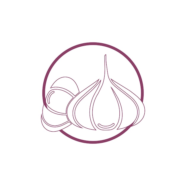 Garlic vector icon illustration design template