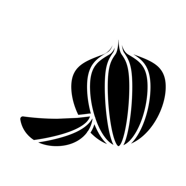 Garlic Vector Illustration Style