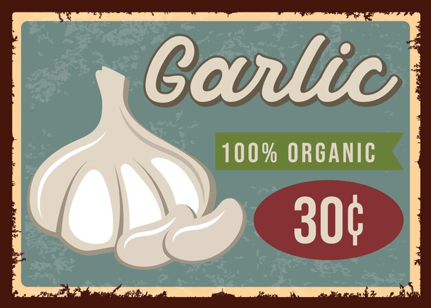 Garlic vegetable rusty plate vintage sign vector template