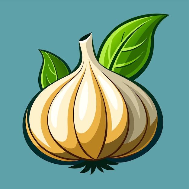 garlic with ripe leaves 3d vector illustration