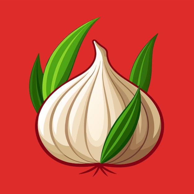 garlic with ripe leaves 3d vector illustration