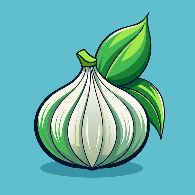 Garlic with ripe leaves 3d vector illustration