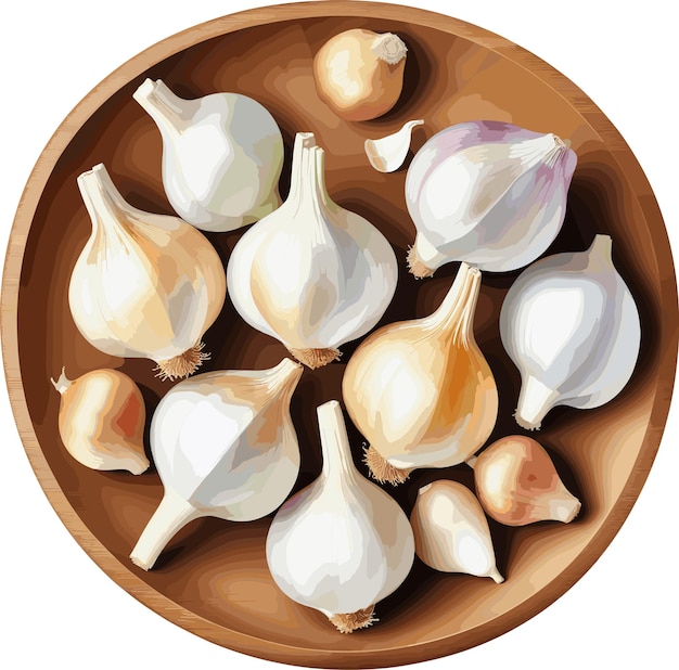 Vector garlics in wooden dish clipart for cooking food ingredients healthy nutrition spice and vegetable