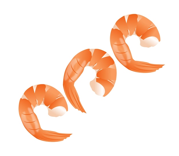Garnalenvlees Vector