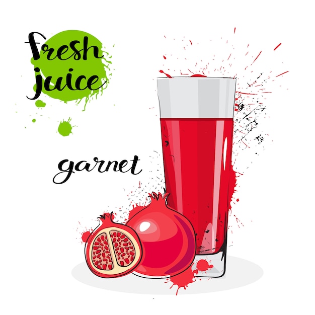 Vector garnet juice fresh hand drawn watercolor fruits and glass on white background