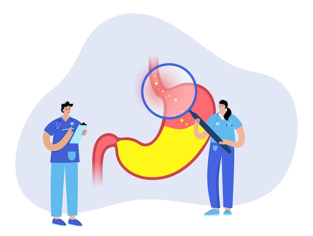 Vector gastroesophageal reflux disease. doctor in clinic. digestive disorder and gerd in human body. pain, heartburn in chest, stomach and esophagus. open sphincter allows acid reflux vector illustration