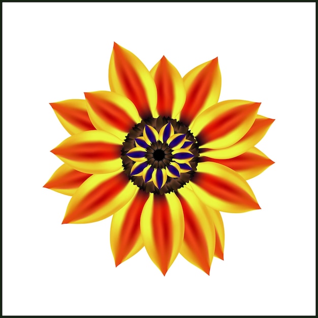 Vector gazania treasure flower and mesh flower