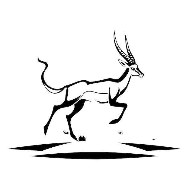 Vector gazelle in africa african animal vector illustration on white background