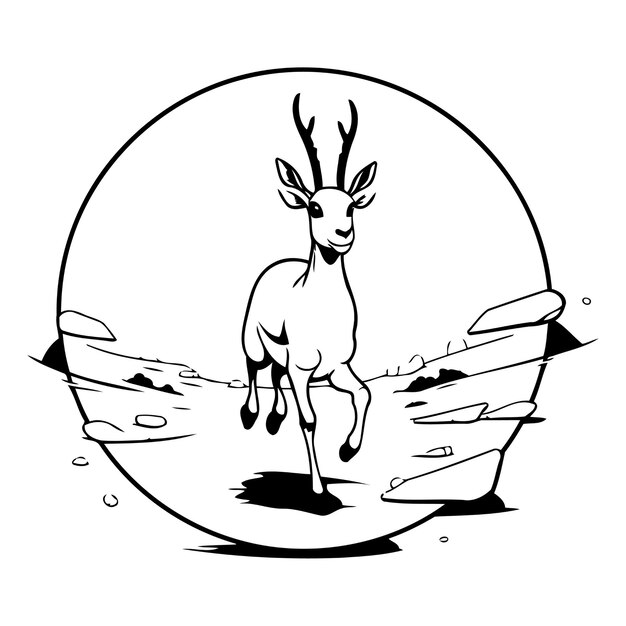 Vector gazelle in the desert vector illustration of a wild animal