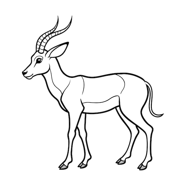 Gazelle illustration coloring page for kids