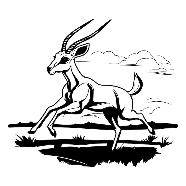 Gazelle running in the field black and white vector illustration