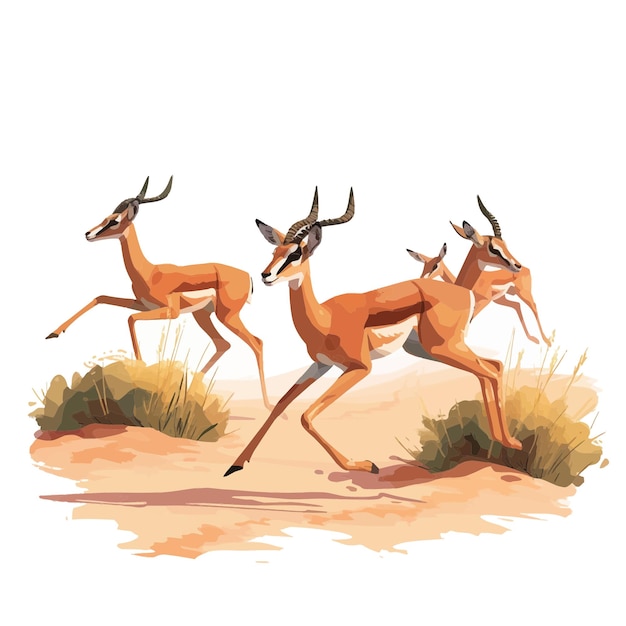 Gazelles running 4