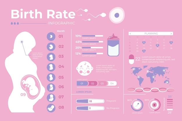 Vector geboortecijfer infographic