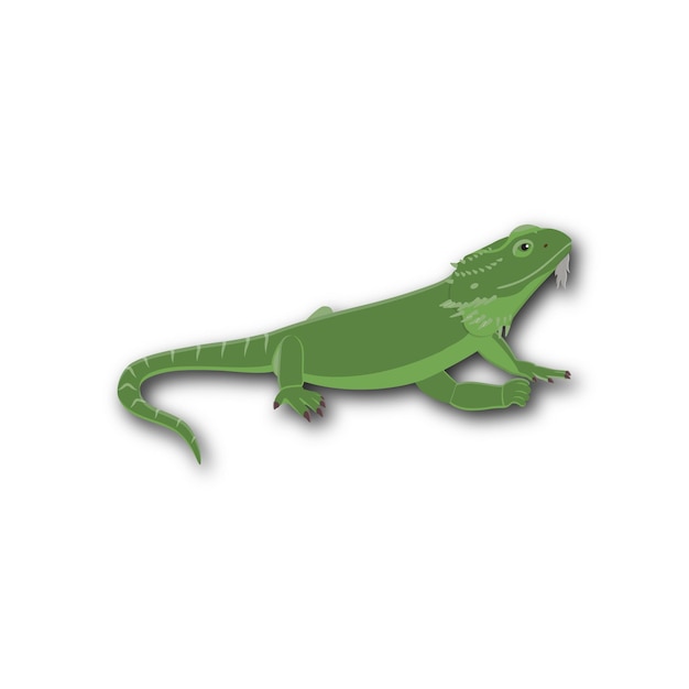 Vector gecko funny cartoon mascot