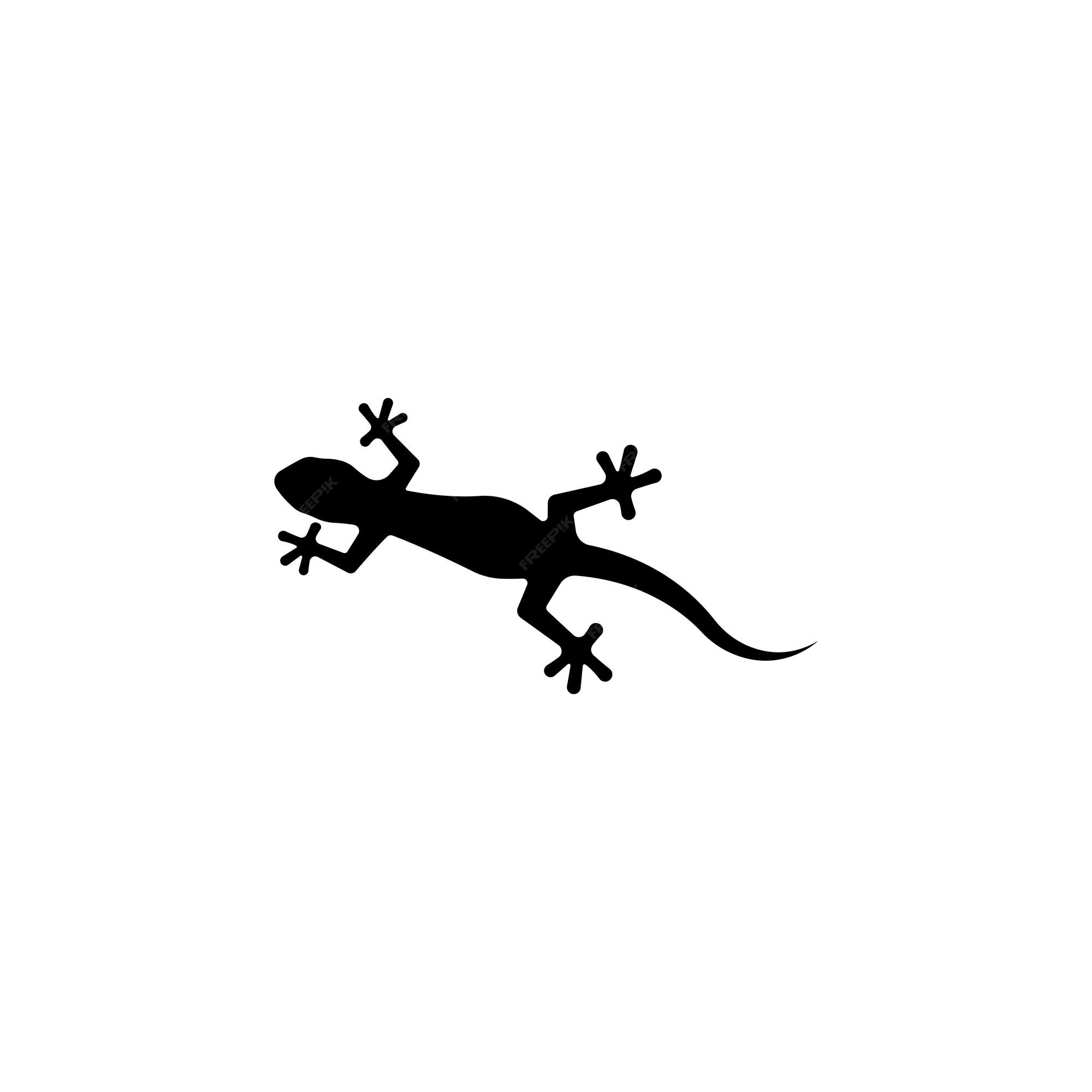 Premium Vector | Gecko logo design vector template