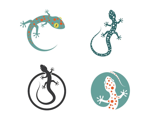 Шаблон векторной иконки логотипа геккона