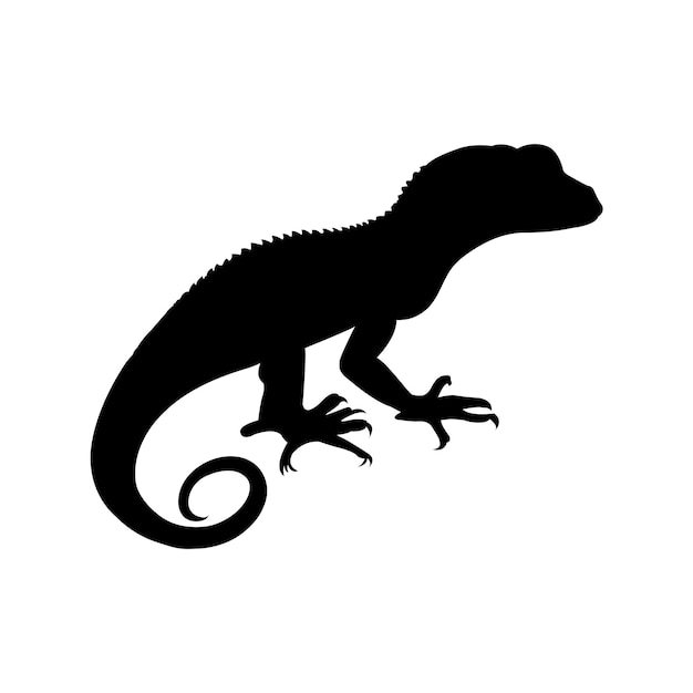 Vector gecko silhouette on white