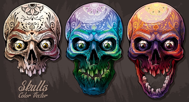 Gedetailleerde grafische kleurrijke menselijke schedels instellen