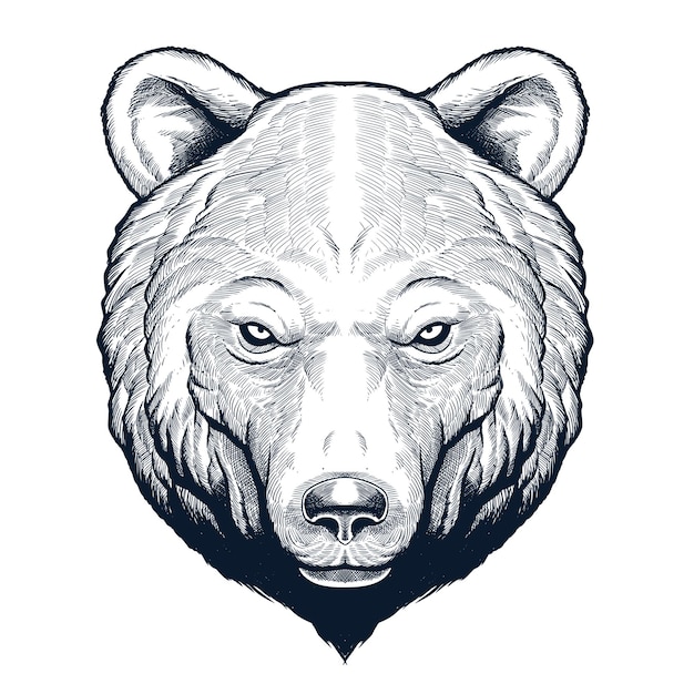 Vector gedetailleerde hand getekend grizzly bear head