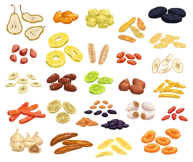 Gedroogd fruit en gekonfijte bessen vector iconen set