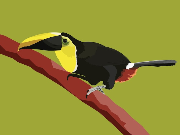 Geelkeeltoekan vogel vector illustratie