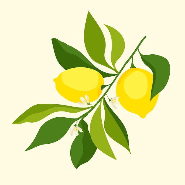 Vector geelzure citroenen met bloemen en groene bladeren