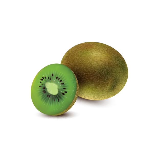 Vector geheel en stuk van kiwifruit dat op witte achtergrond wordt geïsoleerd