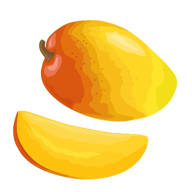 Vector gehele en snijd mango. platte vectorillustratie kleur voor menu, poster. geïsoleerd op witte achtergrond