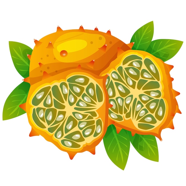 gehoornde meloen of kiwano vectorillustratie