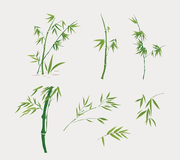 Vector geïllustreerd bamboe