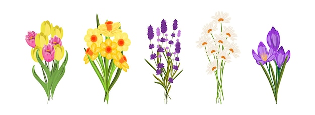Geïllustreerde collectie van diverse bloemenboeketten perfect voor tuin en bloemen thema concepten