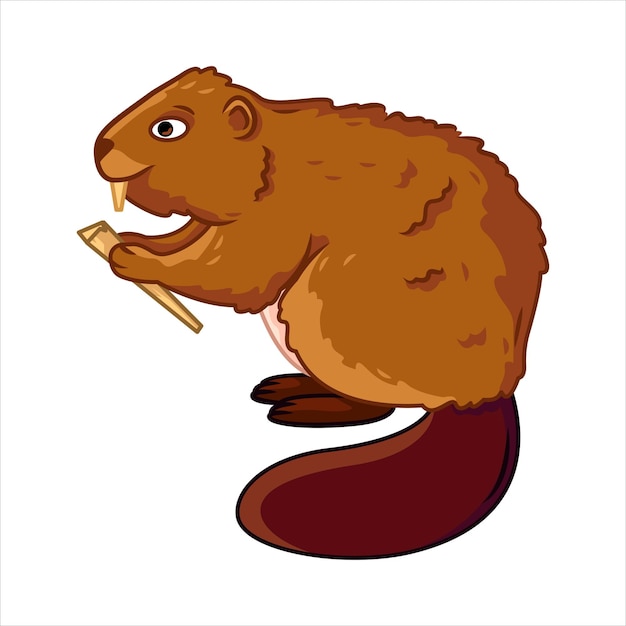 Vector geïsoleerd beeld van een bever leuke bosdieren in cartoonstijl