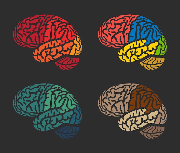 Geïsoleerde abstracte kleurrijke hersenen logo collectie menselijke hersenhelften op zwarte achtergrond