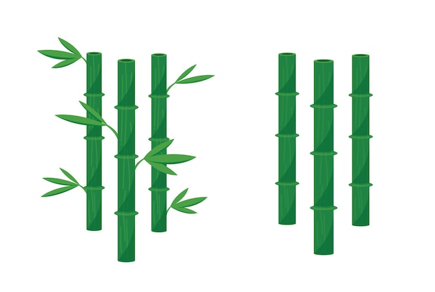 geïsoleerde bamboe op witte achtergrond vector illustratie
