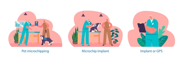 Geïsoleerde elementen met dierenchipproces waarbij een kleine microchip onder de huid van een dier wordt geïmplanteerd voor het volgen en identificeren van huisdieren Cartoon vectorillustratie