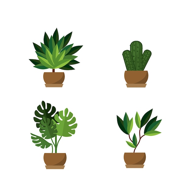 Geïsoleerde planten