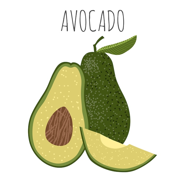 Geïsoleerde vectorillustratie met avocado