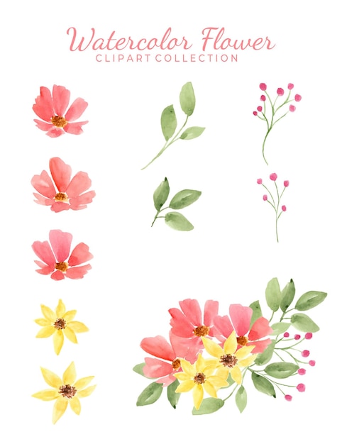 Geïsoleerde verschillende aquarel bloem clipart collectie