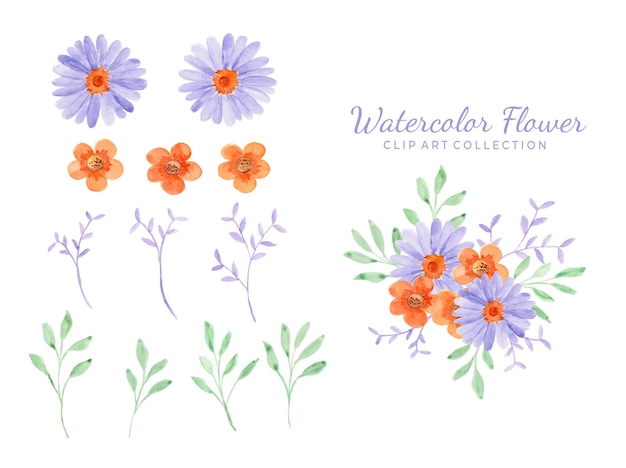 Geïsoleerde verschillende aquarel bloem clipart collectie