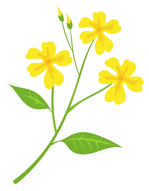 Vector gele bloemen op groene tak cartoon bloemenpictogram