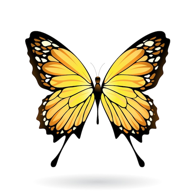 Gele en zwarte vlinder illustratie