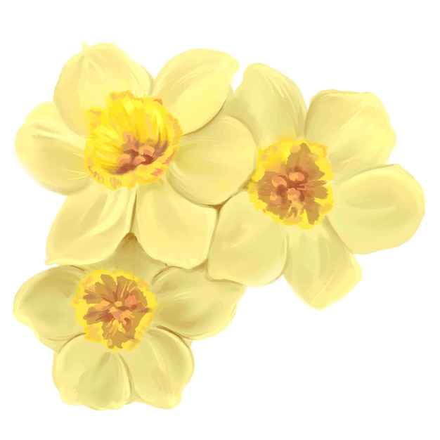 Gele narcissen bloemen illustratie geïsoleerde vector