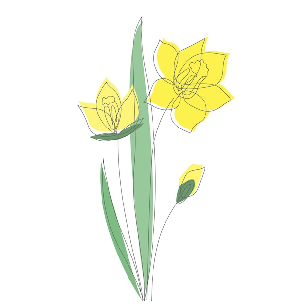 Vector gele narcissen bloemen met geschetst silhouet geïsoleerd op een witte achtergrond ontwerp voor logo